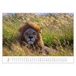 Foto&Natura B3, képes falinaptár 2026