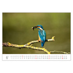 Foto&Natura B3, képes falinaptár 2026