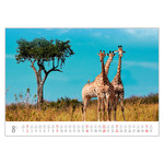 Foto&Natura B3, képes falinaptár 2026