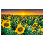 Motivációs naptár, képes falinaptár 2026