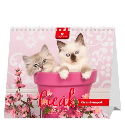 Cicák, álló mini asztali naptár