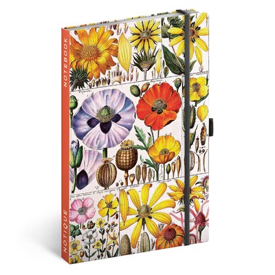 Herbal by Kateřina Winterová, keménytáblás pontozott notesz, 13x21 cm