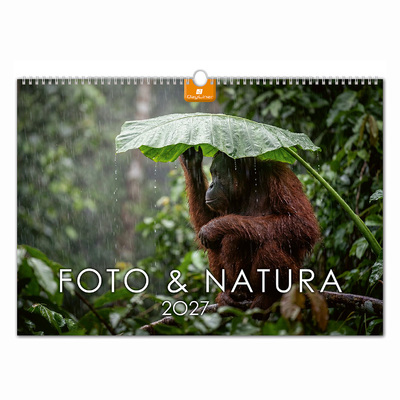 Foto&Natura B3, képes falinaptár 2027