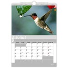 Egyedi falinaptár - Kolibri