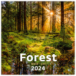 Forest, képes falinaptár 2024