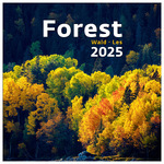 Forest, képes falinaptár 2025