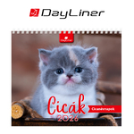 Cicák, fekvő asztali naptár DL
