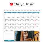 Cicák, fekvő asztali naptár DL