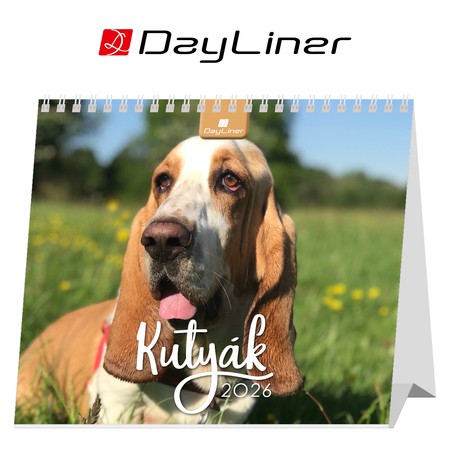 Kutyák, fekvő asztali naptár DL