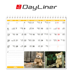 Teddy, fekvő asztali naptár DL