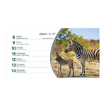 Állatvilág, képes álló papírtáblás asztali naptár T058