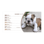 Kutyák, képes álló papírtáblás asztali naptár T058