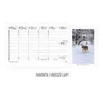 Nemzeti park, képes álló papírtáblás csonkalapos asztali naptár T054, Fehér