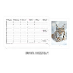 Vadászat, képes, álló papírtáblás csonkalapos asztali naptár T054, Fehér