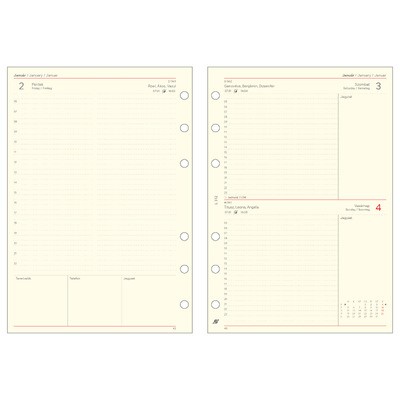 2026 évi napi beosztású kalendárium csomag - L312, Krém (Chamois)
