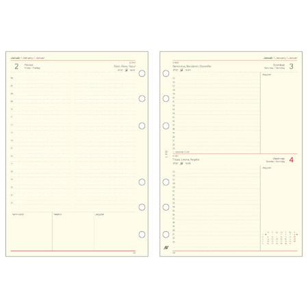 2026 évi napi beosztású kalendárium csomag - L312, Krém (Chamois)