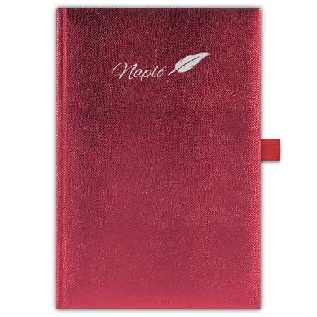 Chameleon, A5 tárgyalási napló, Bordó