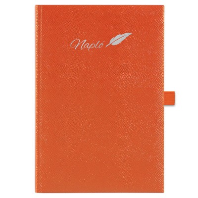 Chameleon, A5 tárgyalási napló, Narancs