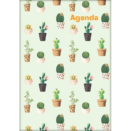Colors, A5 napi beosztású agenda, Cactus