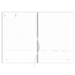 Tucson, B5 tárgyalási napló, Barna