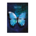 404 Notes found, B5 jegyzetfüzet, Butterfly Blue
