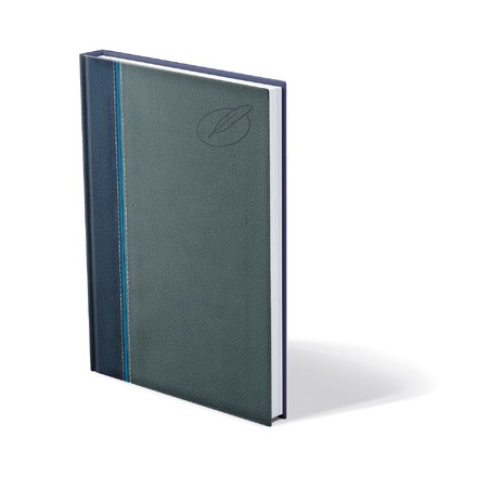 Groovy, B5 tárgyalási napló, Kék-Kék-Szürke