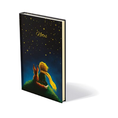 Notebook Spektrum, Little Prince