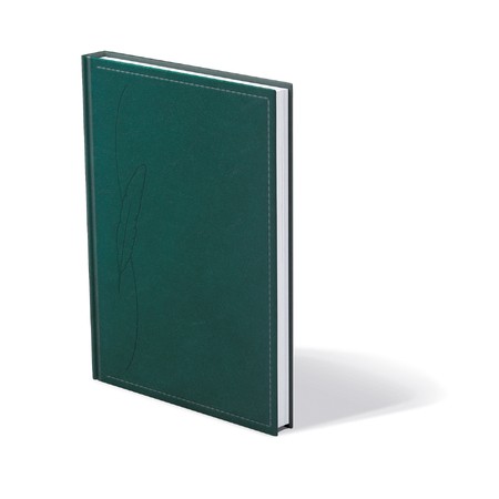 Traditional, B5 tárgyalási napló, Zöld