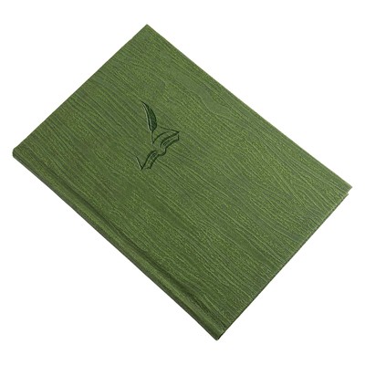 Fashion, A4 Vendégkönyv / Napló, Zöld