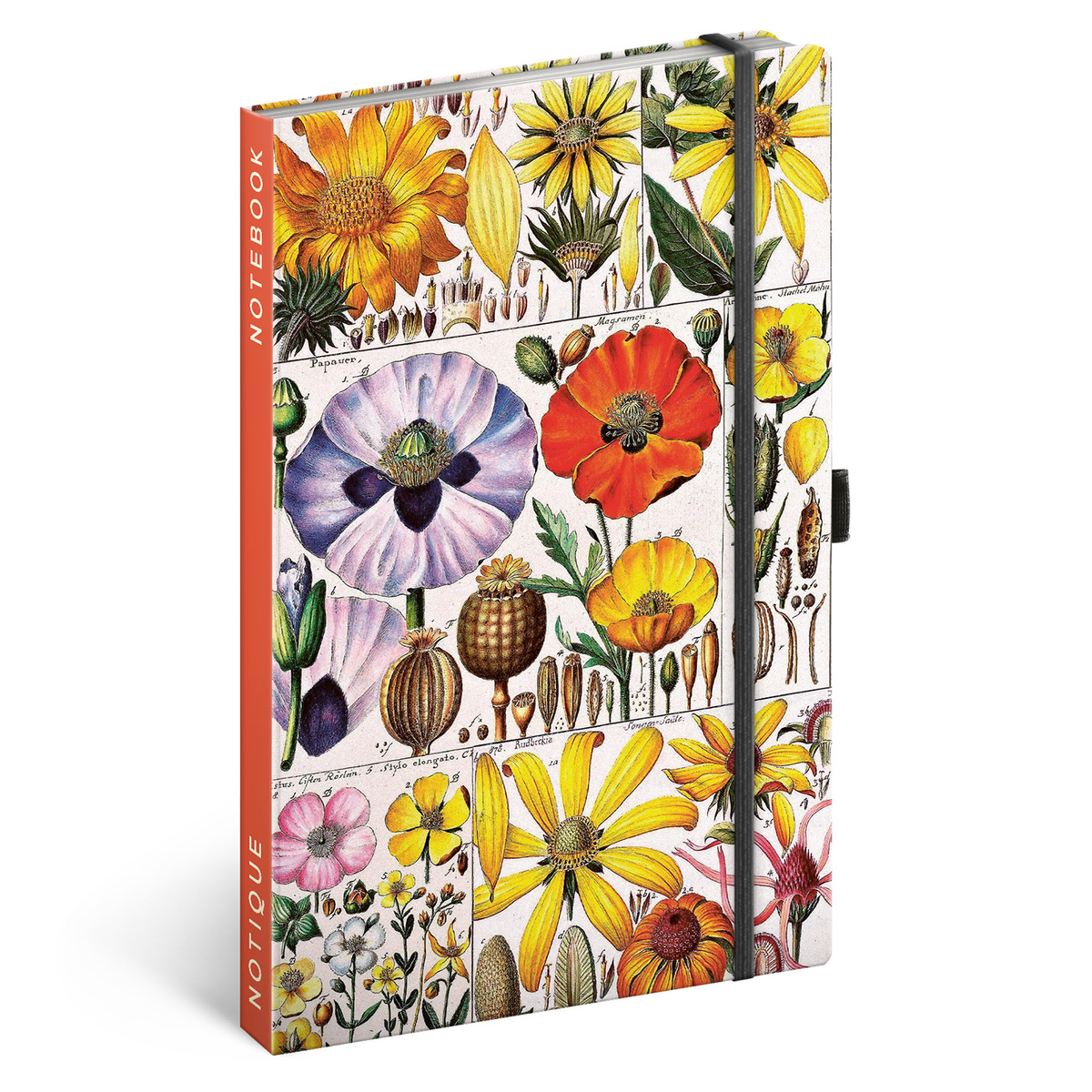 Herbal by Kateřina Winterová, keménytáblás pontozot notesz Herbal by Kateřina Winterová, keménytáblás pontozot notesz