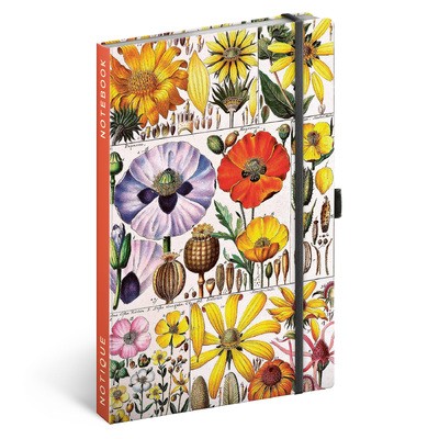 Herbal by Kateřina Winterová, keménytáblás pontozot notesz