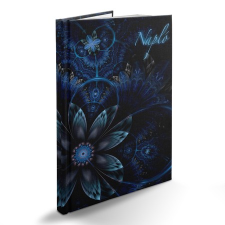 Picture, B5 napló, Fraktál