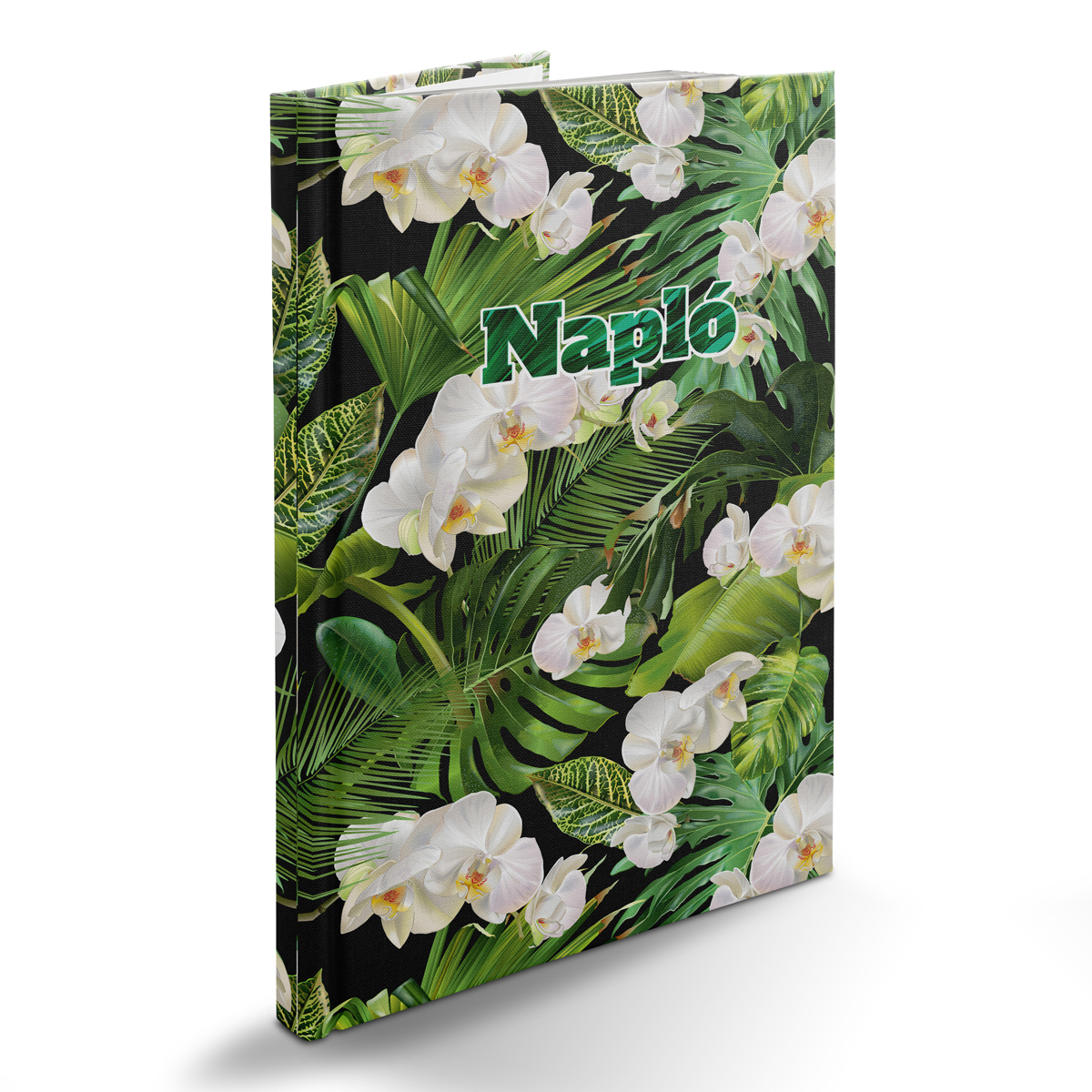 Picture, B5 napló, Tropical Picture, B5 napló, Tropical