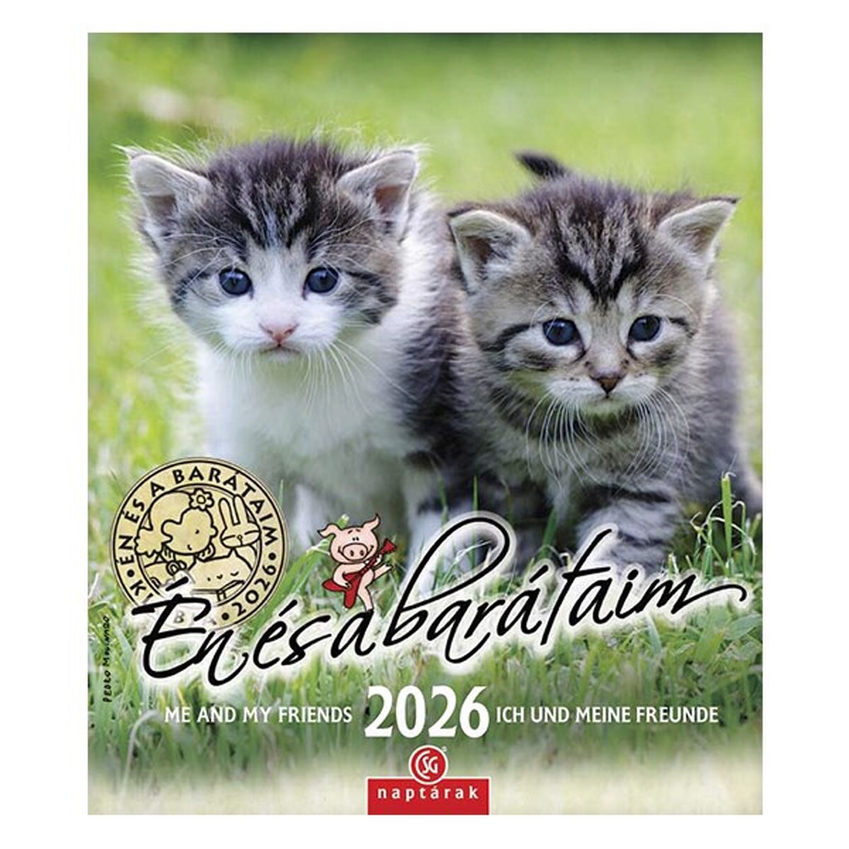 Falinaptár CSG 190x220mm álló Én és a barátaim 2026.