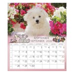 Falinaptár CSG 190x220mm álló Én és a barátaim 2026.