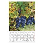 Falinaptár CSG 210x320mm álló Borvidék 2026.