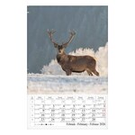 Falinaptár CSG 210x320mm álló Erdeink világa 2026.