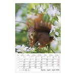 Falinaptár CSG 210x320mm álló Erdeink világa 2026.