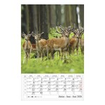 Falinaptár CSG 210x320mm álló Erdeink világa 2026.