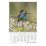 Falinaptár CSG 210x320mm álló Erdeink világa 2026.