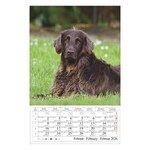 Falinaptár CSG 210x320mm álló Kutyák 2026.