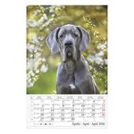 Falinaptár CSG 210x320mm álló Kutyák 2026.