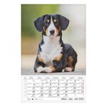 Falinaptár CSG 210x320mm álló Kutyák 2026.