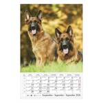 Falinaptár CSG 210x320mm álló Kutyák 2026.