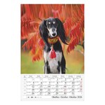 Falinaptár CSG 210x320mm álló Kutyák 2026.