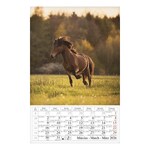 Falinaptár CSG 210x320mm álló Lovak 2026.