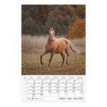 Falinaptár CSG 210x320mm álló Lovak 2026.