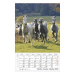 Falinaptár CSG 210x320mm álló Lovak 2026.