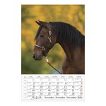 Falinaptár CSG 210x320mm álló Lovak 2026.