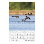 Falinaptár CSG 210x320mm álló Magyar tájak 2026.